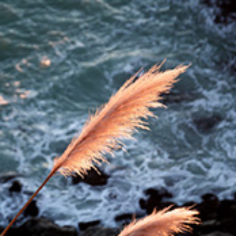 sostenibilidad-ambiental