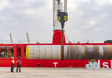 Cargas de Proyecto 11