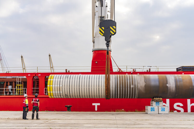 Cargas de Proyecto 11